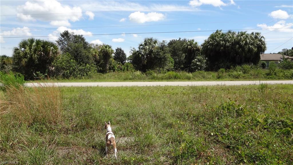 GOLDEN GATE ESTATES - Land