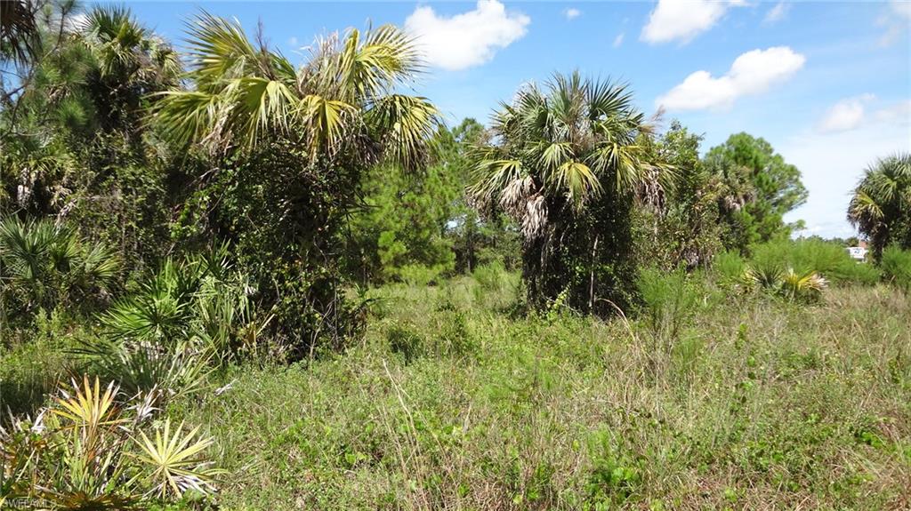 GOLDEN GATE ESTATES - Land