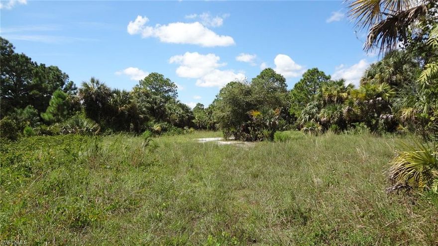 94% UPLANDS with a very small amount of wetland at the far rear of the property!!  Just reduced for a quick sale. No ERP/Wetland Related Permits required!!  Wetland determination study is available. Nice paved street with limited amount of homes and ready to build. This beautiful mostly uplands lot is close to the brand new Publix on Randall Blvd/Immokalee Rd and the fairground. This area of Golden Gate Estates is bursting with growth which includes new stores and restaurants.  The lot has great access to Immokalee Road and is very close to the newly approved 60 acre park (see http://archive.naplesnews.com/news/government/golden-gate-park-plans-moving-forward-ep-635931072-336371251.html).  Wonderful schools are close by; Corkscrew elementary, Corkscrew Middle and Palmetto Ridge High School.  This is the largest growing area of Collier County and will make a great investment to either build a new home now or just hold on to for the future.