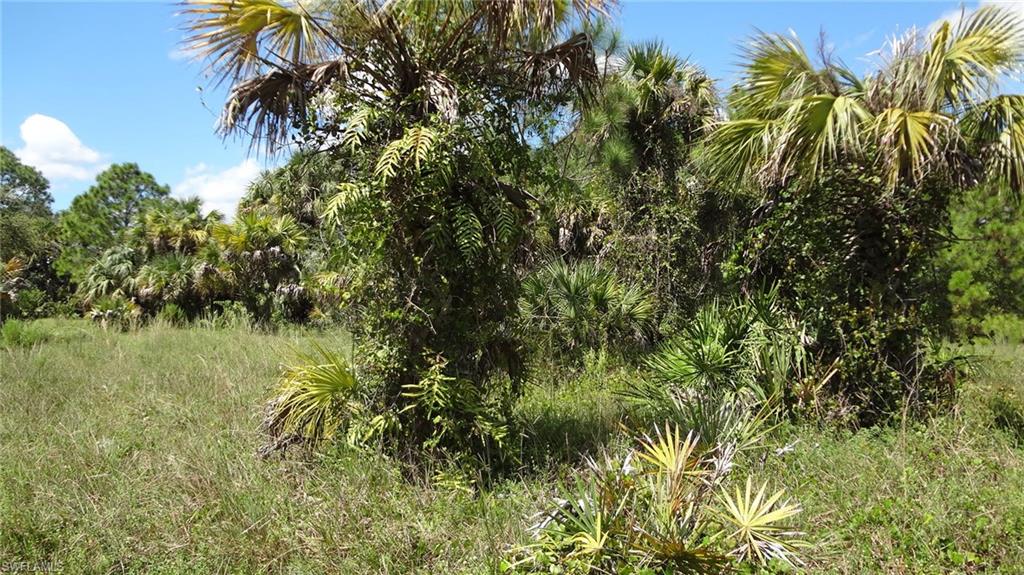 GOLDEN GATE ESTATES - Land