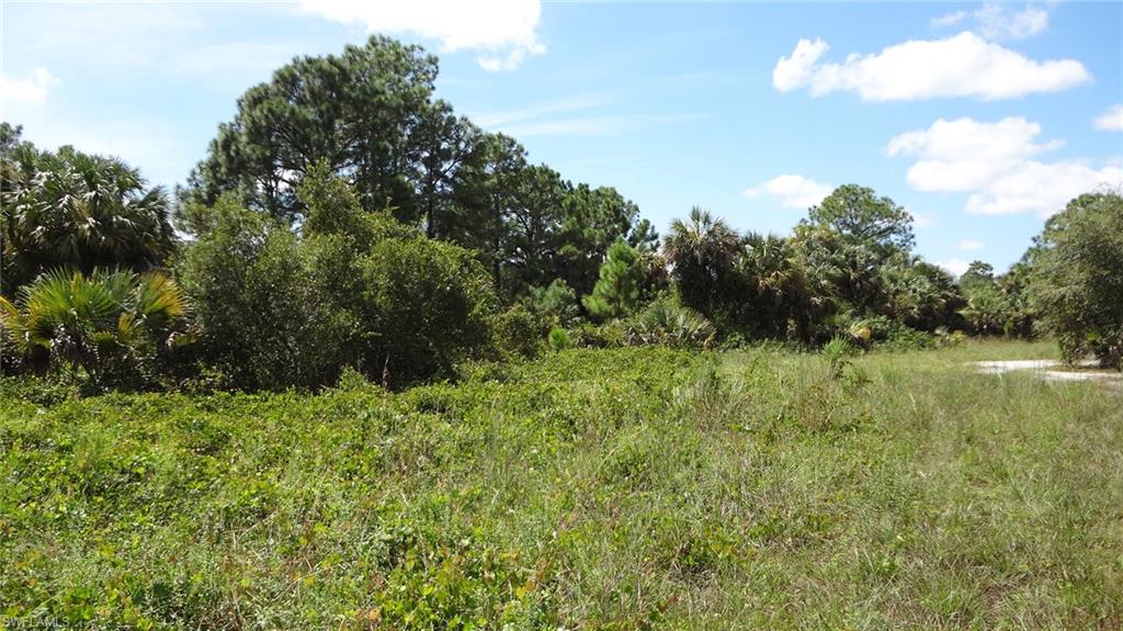 GOLDEN GATE ESTATES - Land