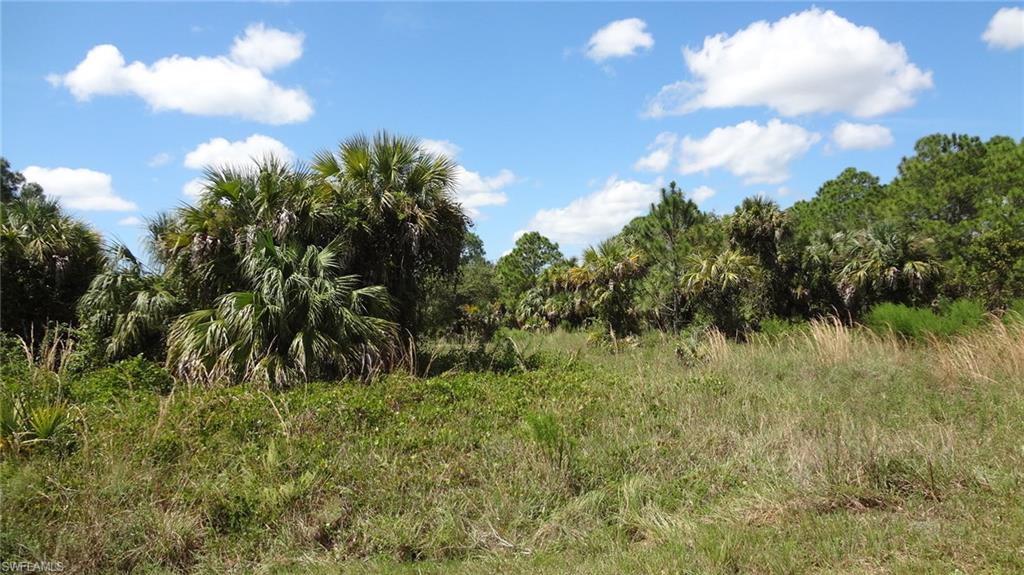 GOLDEN GATE ESTATES - Land