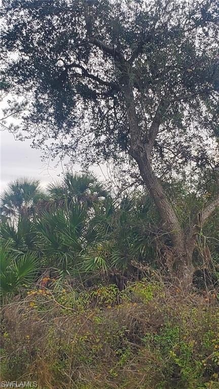 BANYAN VILLAGE - Land