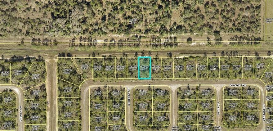 Excellent opportunity to build your new home on a canal front lot. Just a short drive to Fort Myers and Punta Gorda airports, two spring training facilities and beaches!