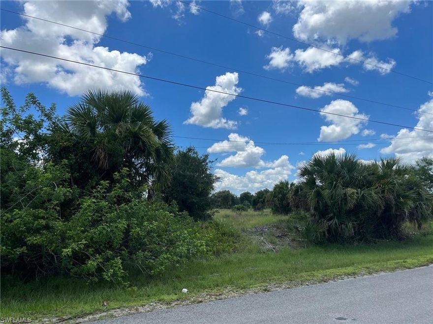 Uplands 100% per the wetland determination attached. Enjoy the peaceful, country lifestyle of Golden Gate Estates, just minutes from the splendor and beautiful beaches of Naples, Florida. Build the home of your dreams on this wonderful 2.67 acre canal front lot. Zoning allows 2 horses per acre. Very convenient location just a couple miles to Publix, CVS, Corkscrew Elementary School, Corkscrew Middle School, Palmetto Ridge High School, Collier County Fairgrounds and the fantastic new Big Corkscrew Island Regional Park.