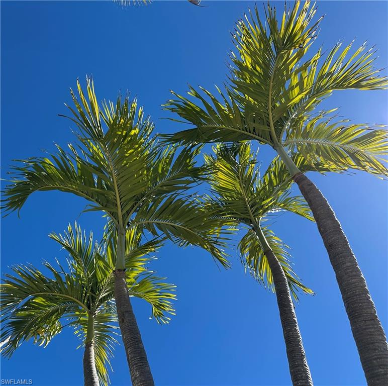 DANIELS PARK - Residential