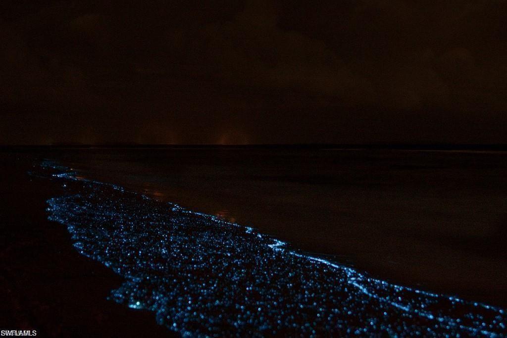 UPPER CAPTIVA SHORES - Land