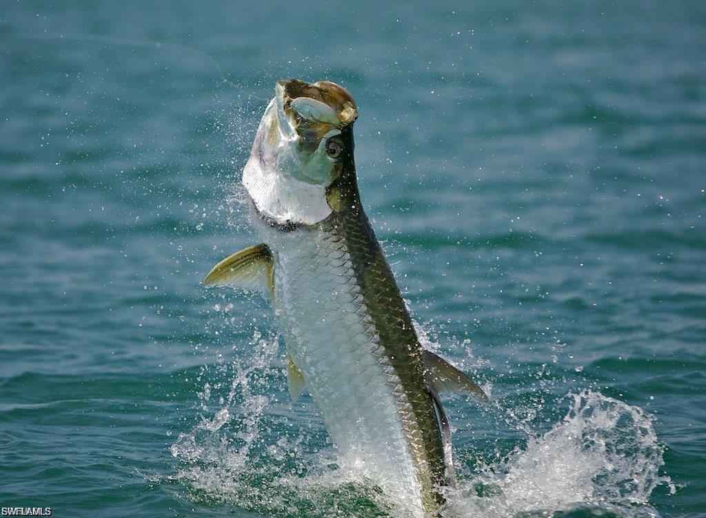 UPPER CAPTIVA SHORES - Land