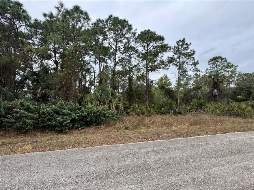 Don’t miss this opportunity to own a spacious ½-acre residential lot in one of Southwest Florida’s fastest-growing areas. Located on a quiet street with established homes nearby, this property offers a great balance of privacy and convenience. Whether you’re planning to build your dream home now or hold as an investment, this lot offers excellent potential.

The adjacent ½-acre lot is also available, providing the option to combine both parcels for a full 1-acre homesite. Lehigh Acres continues to experience rapid growth with new construction, expanding infrastructure, and increasing demand from homeowners and investors. Secure your piece of Lehigh Acres today.