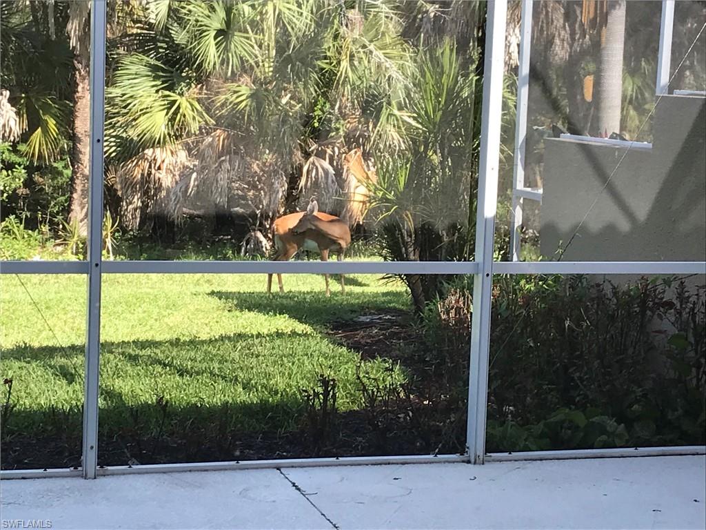 FOREST GLEN - Residential