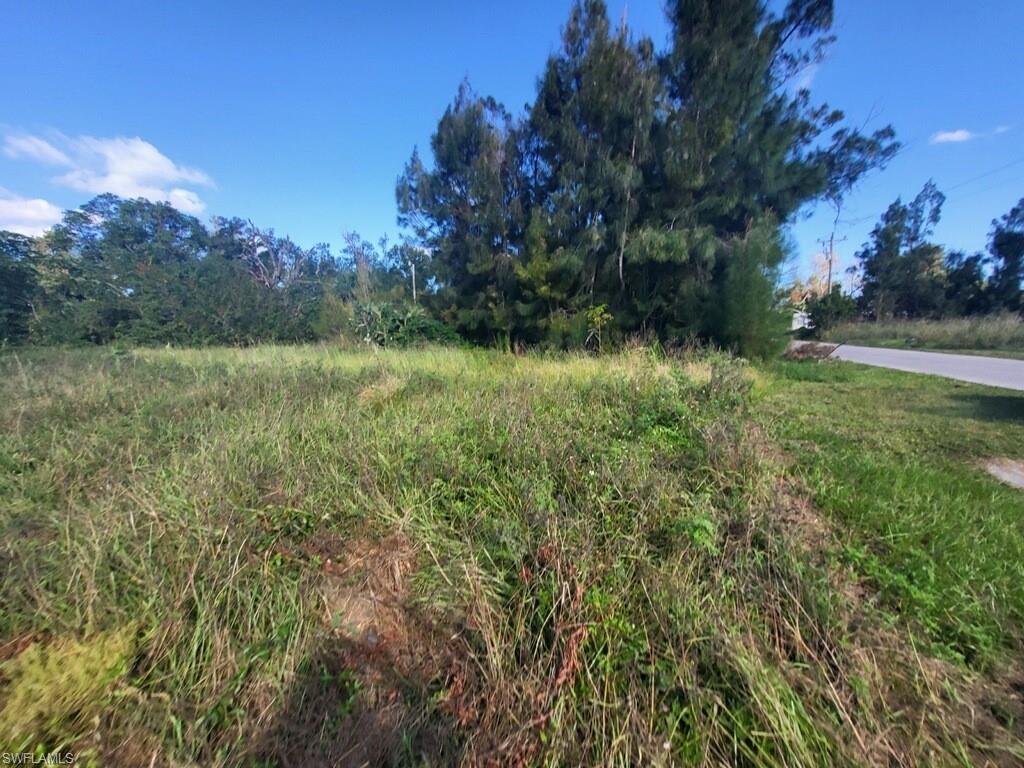 SUNCOAST ESTATE - Land