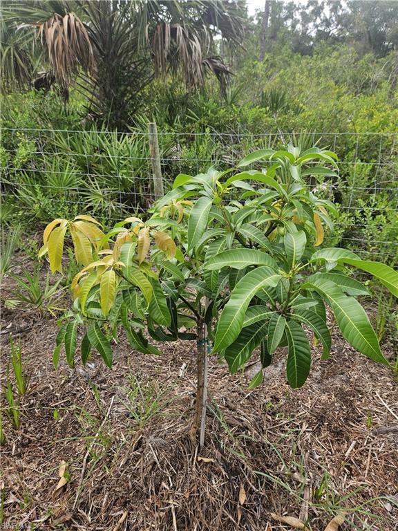 LABELLE RANCHETTES - Land