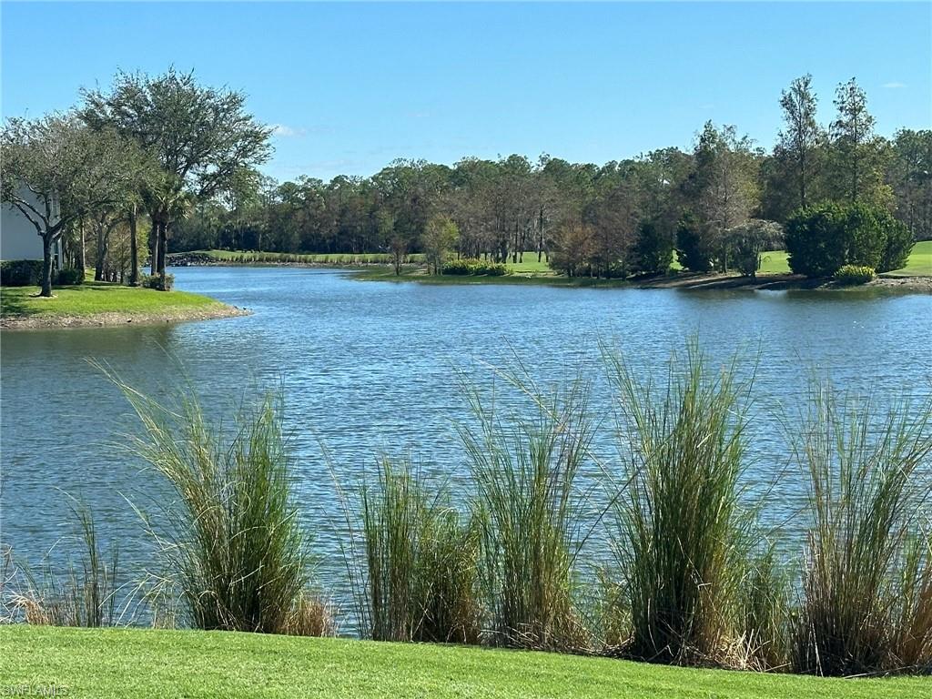 8610 Cedar Hammock CIR 1241
