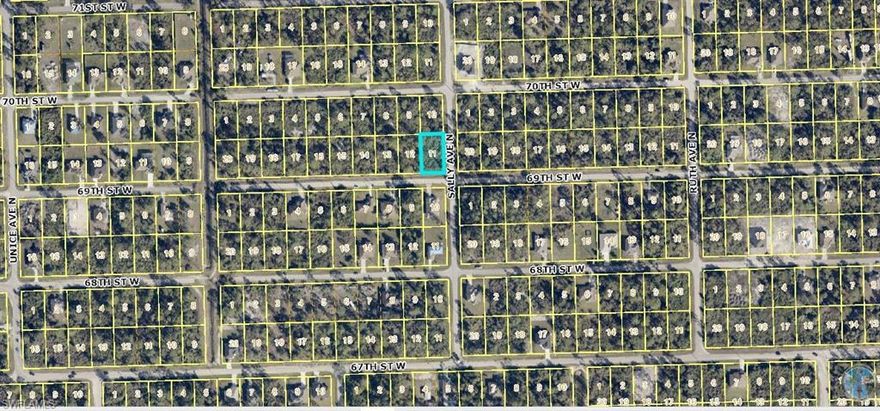 Here's your opportunity to purchase your very own land so you can build the perfect pool home you've been dreaming of, with sun shining all day with the Southern rear exposure ! Located in the West area of Lehigh just a few minutes away from Harns Marsh Elementary and Middle school, Lehigh Senior High School, Varsity Lakes & Tortuga Elementary as well as Perkins, Wal-Mart and places of worship! The best and fast access to fort Myers 10 minutes from Buckingham Street This is a gorgeous lot located in a wonderful area near Sunshine Blvd. and Cemetery Road. Don't miss out on your chance to make your dream a reality today. Call, Text Or email!  

OWN IT NOW!