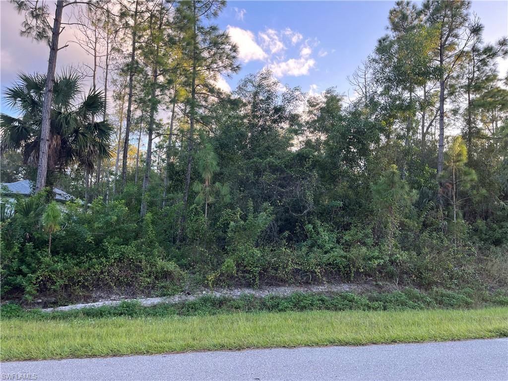 GOLDEN GATE ESTATES - Land