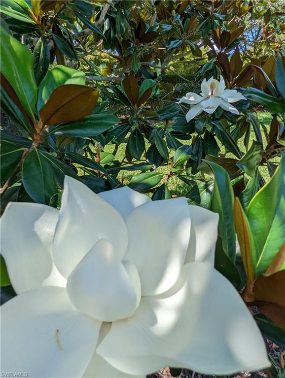 SOMERVILLE - Residential