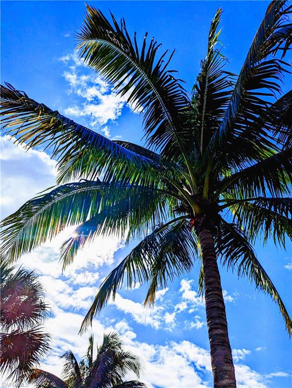 SOMERVILLE - Residential