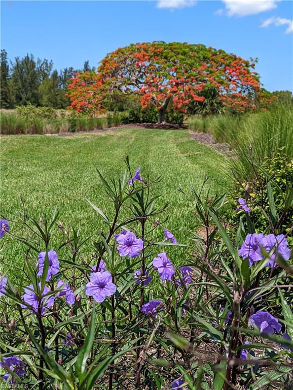 SOMERVILLE - Residential