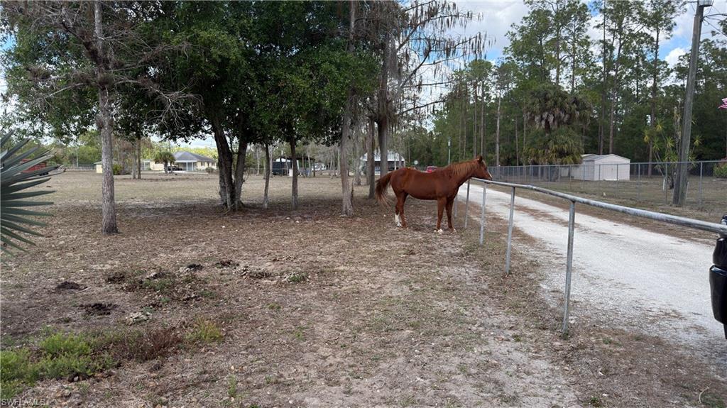 GOLDEN GATE ESTATES - Land