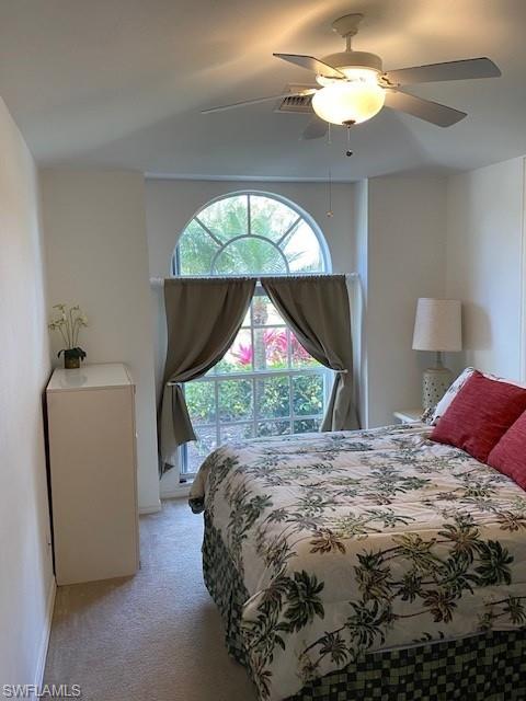 PALM ISLAND - Residential