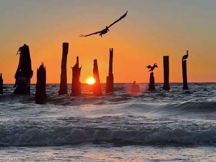 CARLOS POINTE - Residential