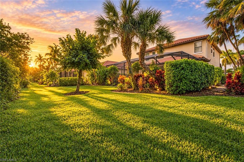 4391 Raffia Palm CIR