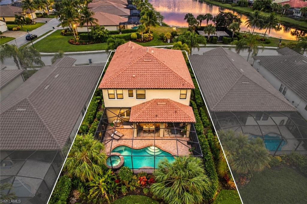 4391 Raffia Palm CIR