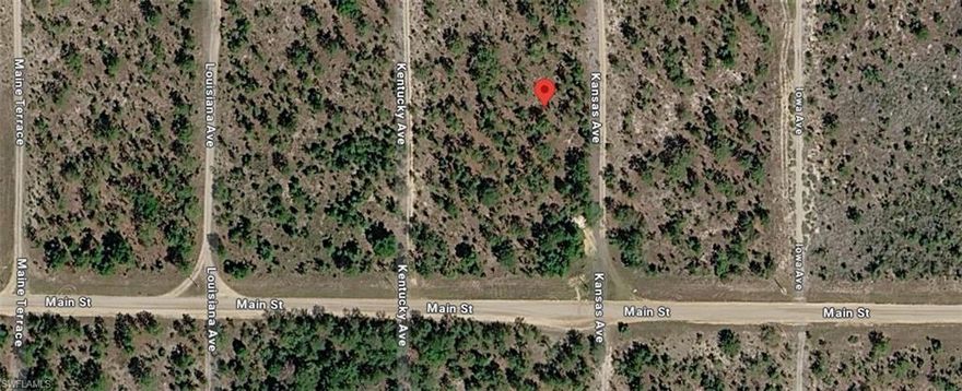 TAX Deed Sale! Looking to purchase your dream property in Florida, look no further. This lot is listed below market value! Buying Land in Florida is a solid investment for your future, build your dream home, vacation home, rental investment or let the land build value as a great long-term investment to resell for a future profit. Seller has multiple lots for bulk sale! Quick close, take possession via Quit Claim Deed. Property is sold As-Is, No warranties of any kind, survey, lien search, title policy or insurance will be provided by the seller. Seller acquired interest in the property via Tax Deed sale and has never lived on property.