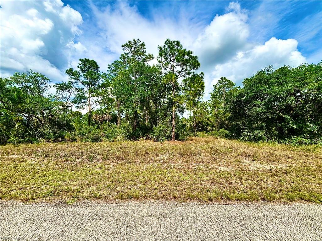 LEHIGH ACRES - Land