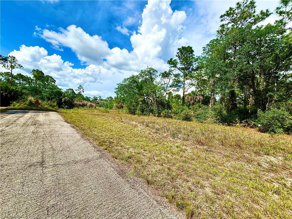 LEHIGH ACRES - Land