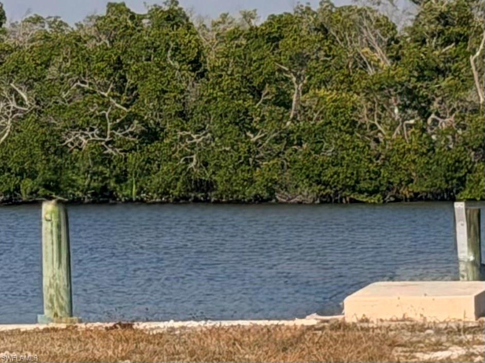 PORT CARLOS COVE CO-OP INC - Land