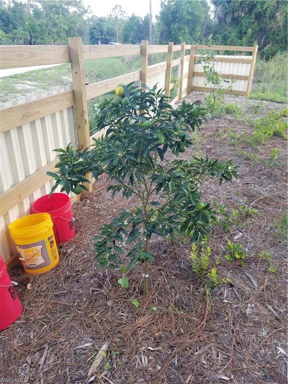 TROPICAL GULF ACRES - Land