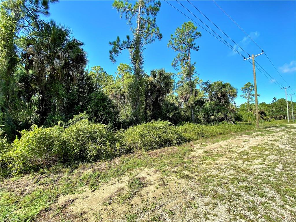 GOLDEN GATE ESTATES - Land