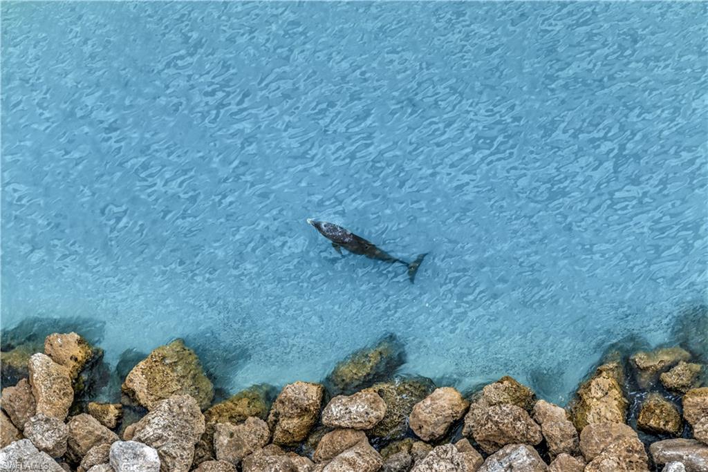 BELIZE - Residential
