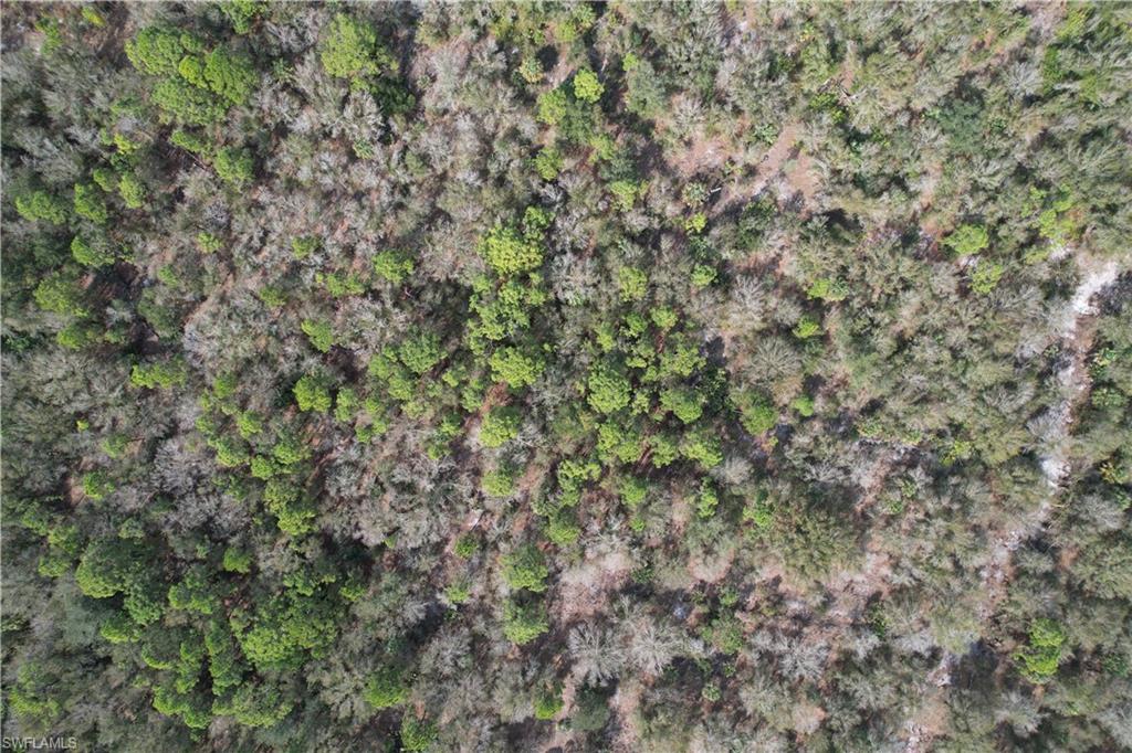 NOT APPLICABLE - Land