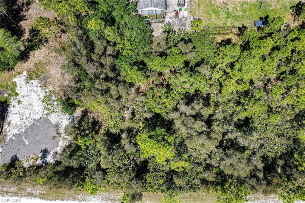 TROPICAL GULF ACRES - Land