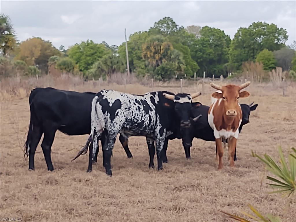 MONTURA RANCH ESTATES - Land