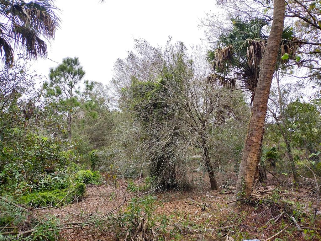 MONTURA RANCH ESTATES - Land