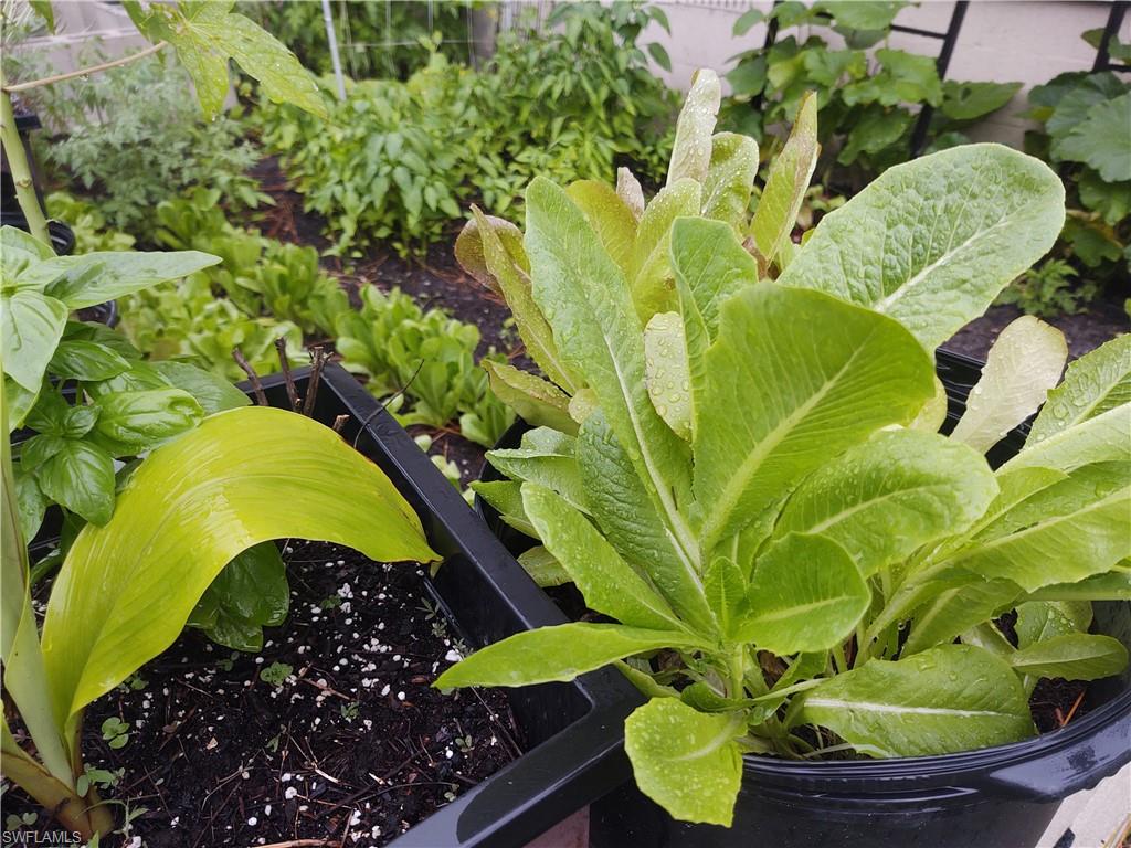 MONTURA RANCH ESTATES - Land