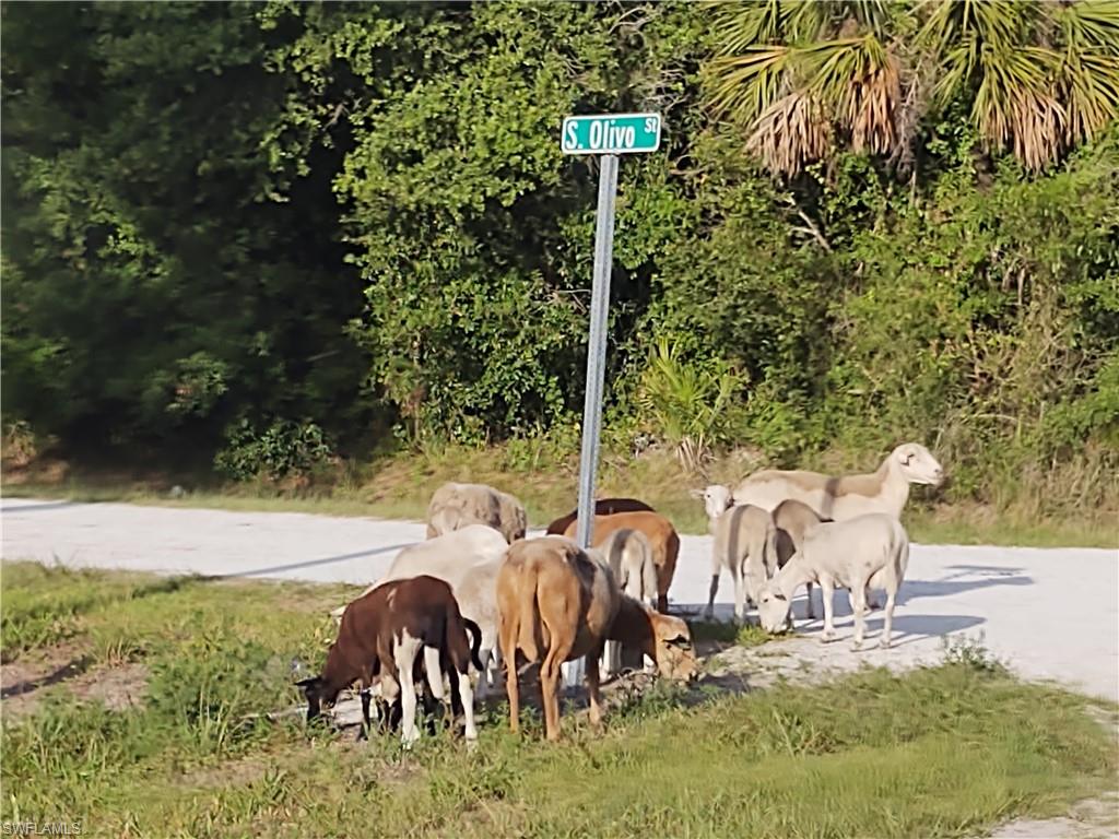 MONTURA RANCH ESTATES - Land