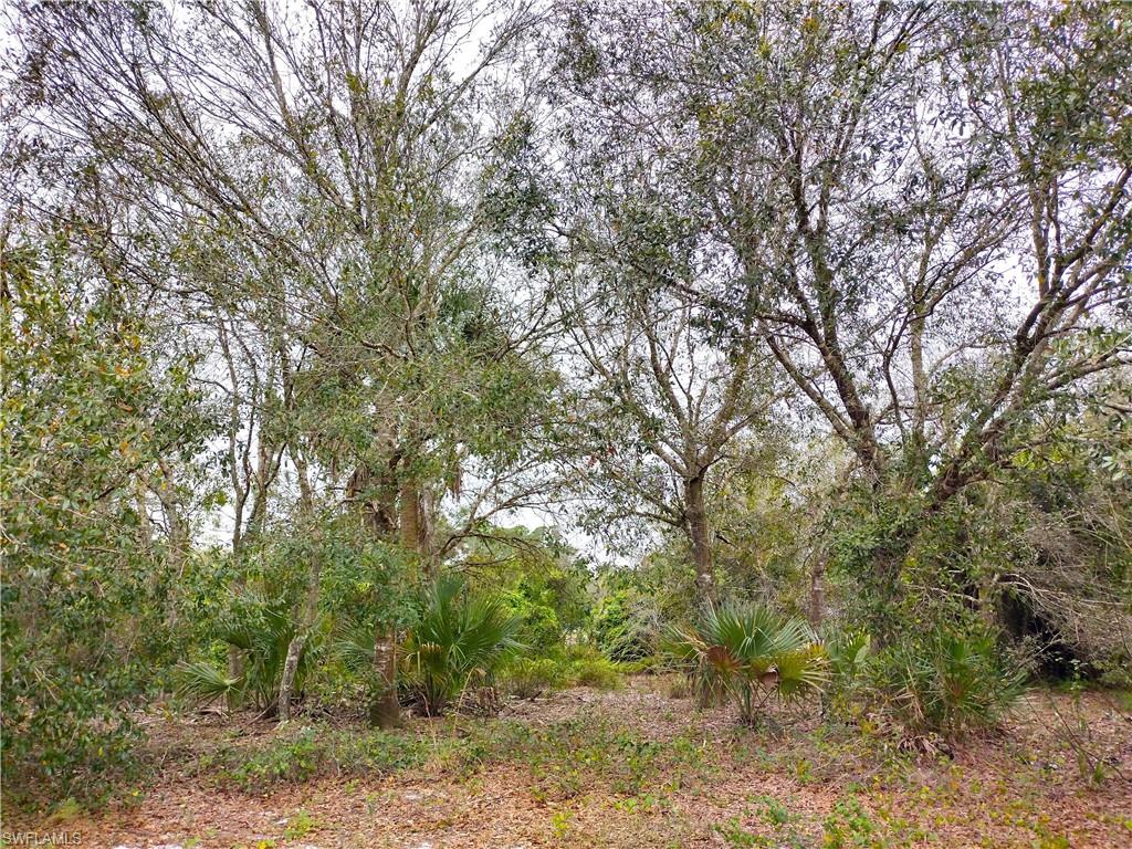 MONTURA RANCH ESTATES - Land