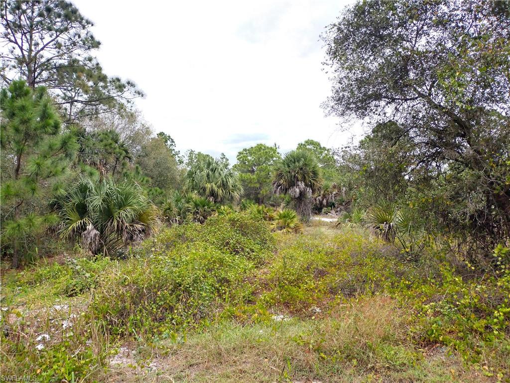 MONTURA RANCH ESTATES - Land