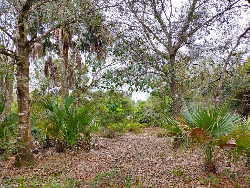 MONTURA RANCH ESTATES - Land