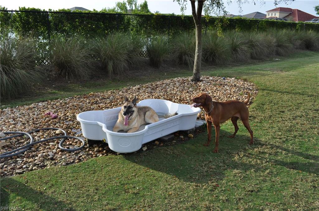 SANDOVAL - Residential