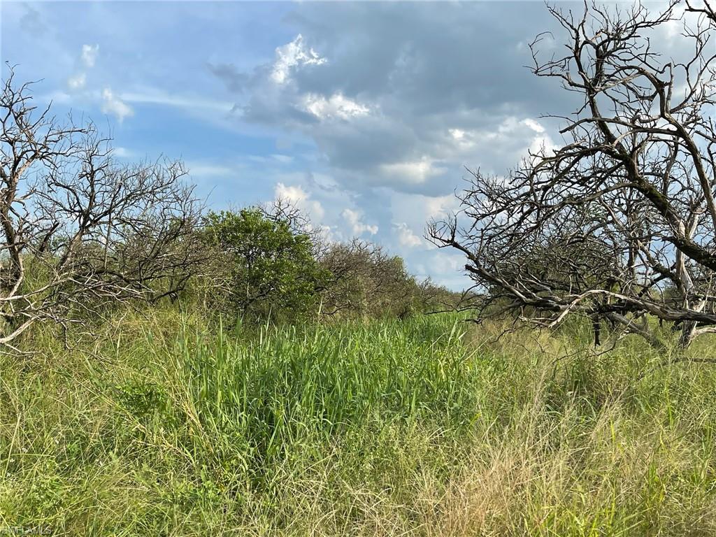 GERBER GROVES SEC 1 - Land