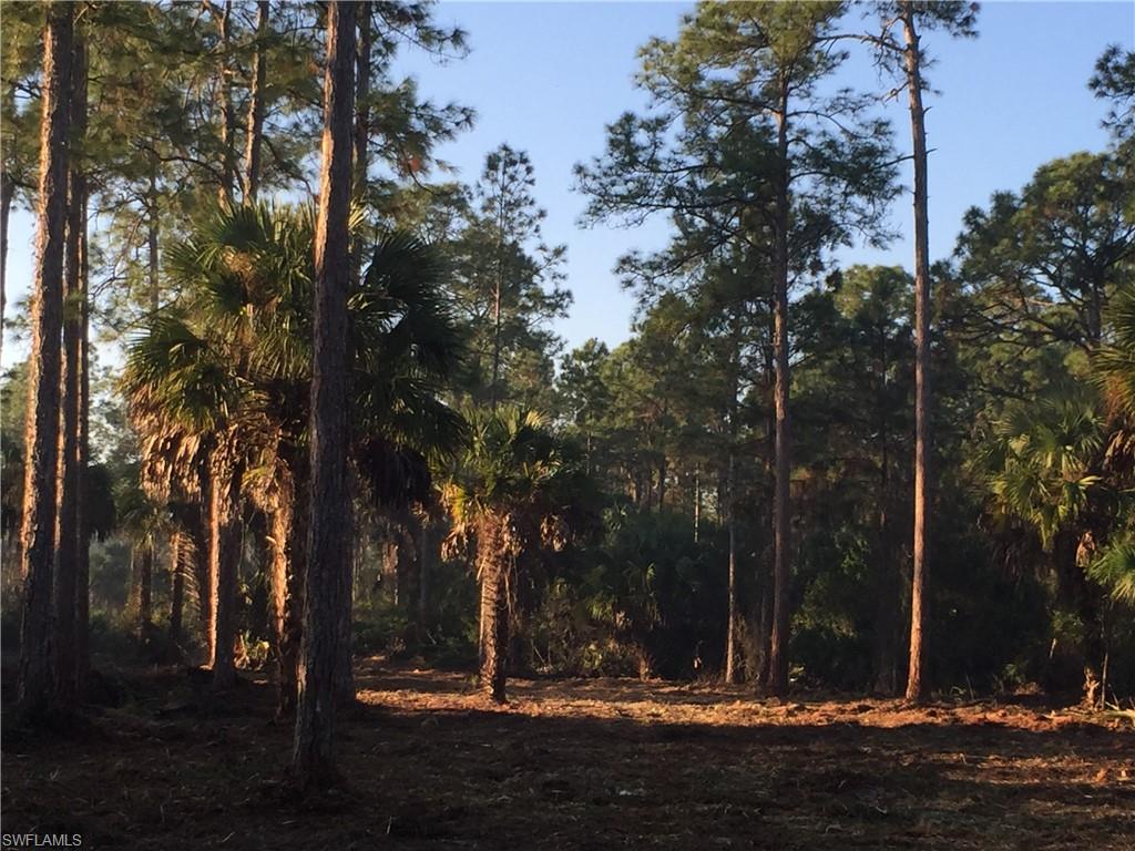 GOLDEN GATE ESTATES - Land