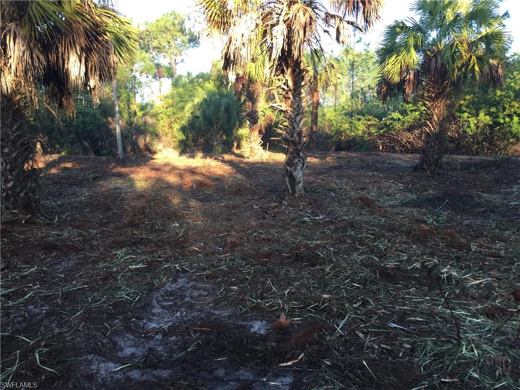 GOLDEN GATE ESTATES - Land