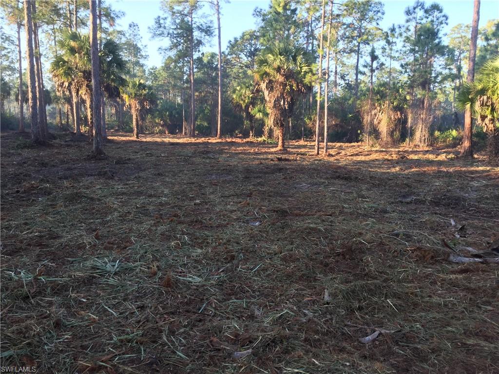 GOLDEN GATE ESTATES - Land