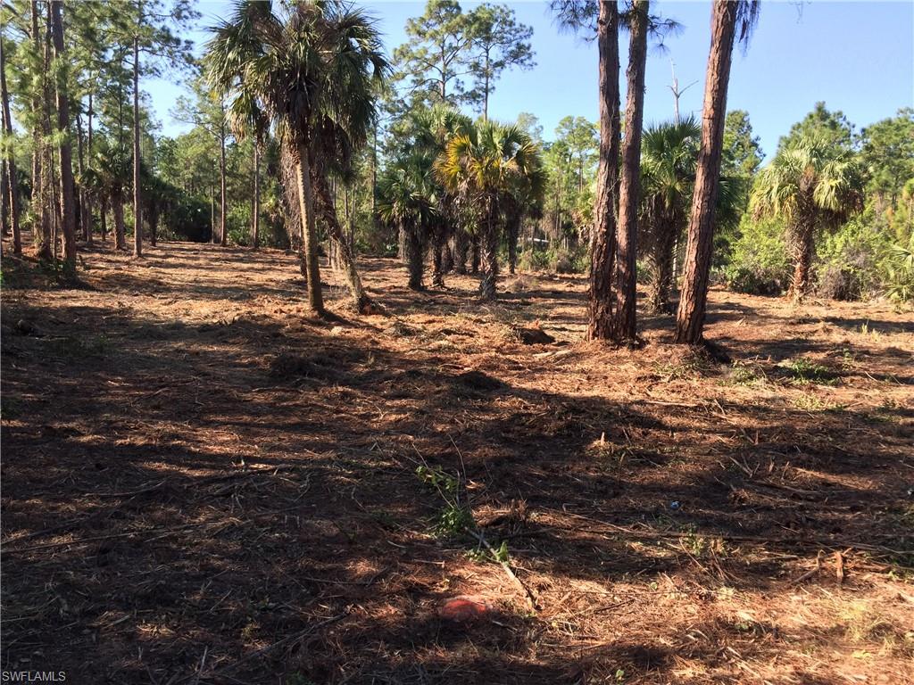 GOLDEN GATE ESTATES - Land