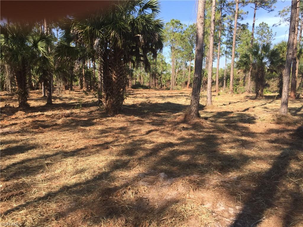 GOLDEN GATE ESTATES - Land